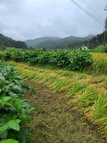 ■飲んで里山の環境保全活動を支援