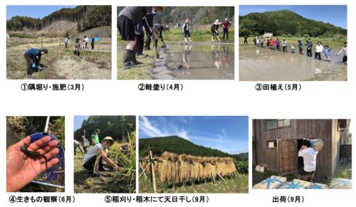 ■はじめに「ミチのムコウ」プロジェクト「100人ではぐくむ名前はまだ無い日本酒」について